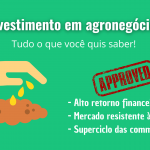 Investimento em agronegócio: tudo o que você quis saber!