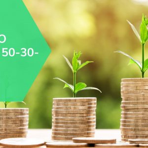 Método 50-30-20: o que é e como usar no dia a dia?