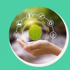 Mas afinal, quem é o consumidor consciente e como se tornar um?