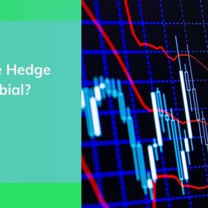 Hedge cambial: o que é, como funciona e quais os tipos?