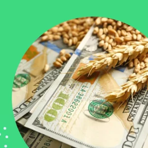 O que são commodities? Entenda agora!