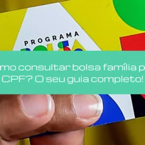 Como consultar bolsa família pelo CPF? O seu guia completo!