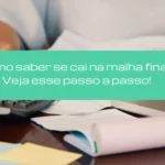 Como saber se cai na malha fina? Veja esse passo a passo!