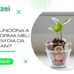 Como funciona a plataforma Meu Bolso em Dia da FEBRABAN?