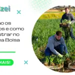 Quais são os requisitos e como se cadastrar no programa Bolsa Verde?