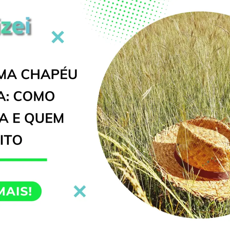 Programa Chapéu de Palha: como funciona e quem tem direito
