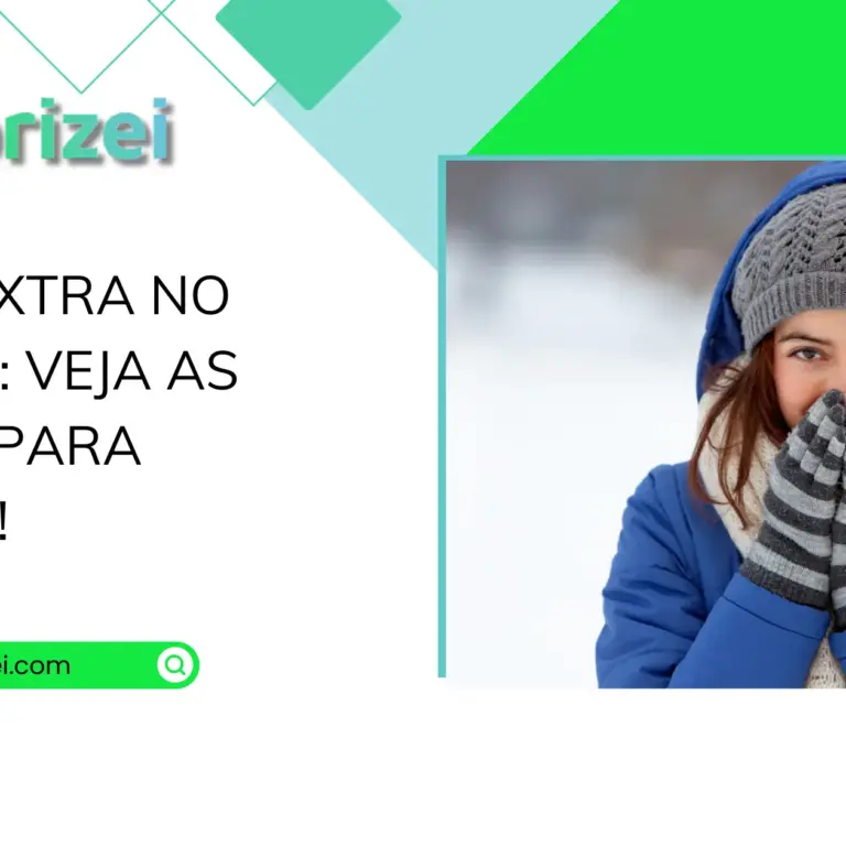 Renda extra no inverno: veja as opções para investir! 