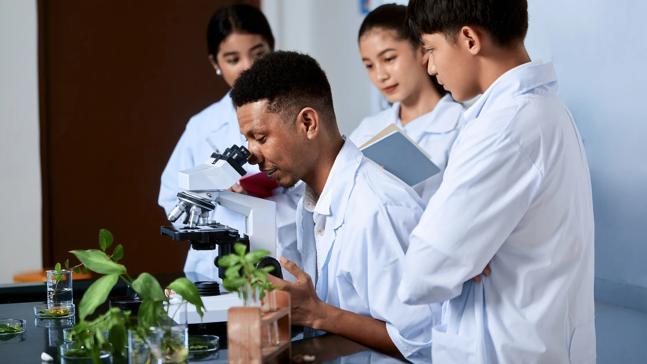 Cursos Superiores que Combinam com Quem Ama Viajar