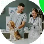 SinPatinhas: como funciona o novo cadastro nacional de pets no Brasil