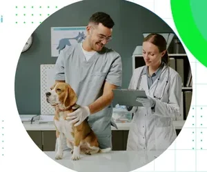 SinPatinhas: como funciona o novo cadastro nacional de pets no Brasil