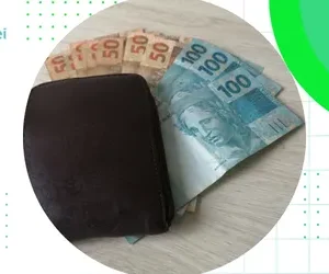 Carteira preguiçosa brasileira